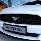 Stark wie ein ..... Mustang